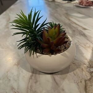 White Ceramic Succulent Planter
